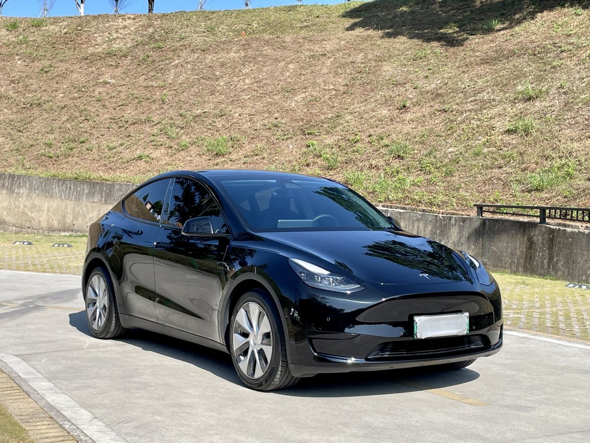 特斯拉 Model 3  2022款 后輪驅(qū)動(dòng)版圖片