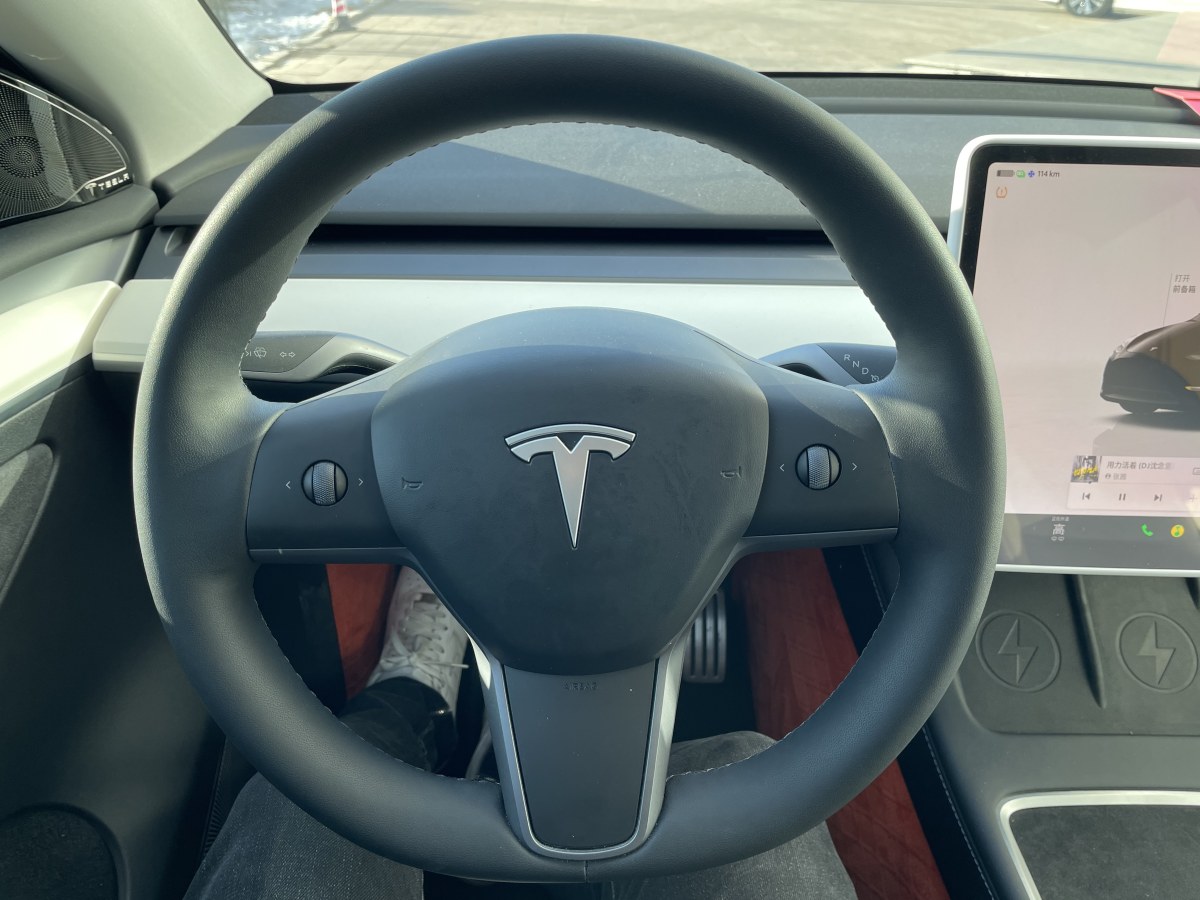 特斯拉 Model 3  2022款 Performance高性能全輪驅動版圖片