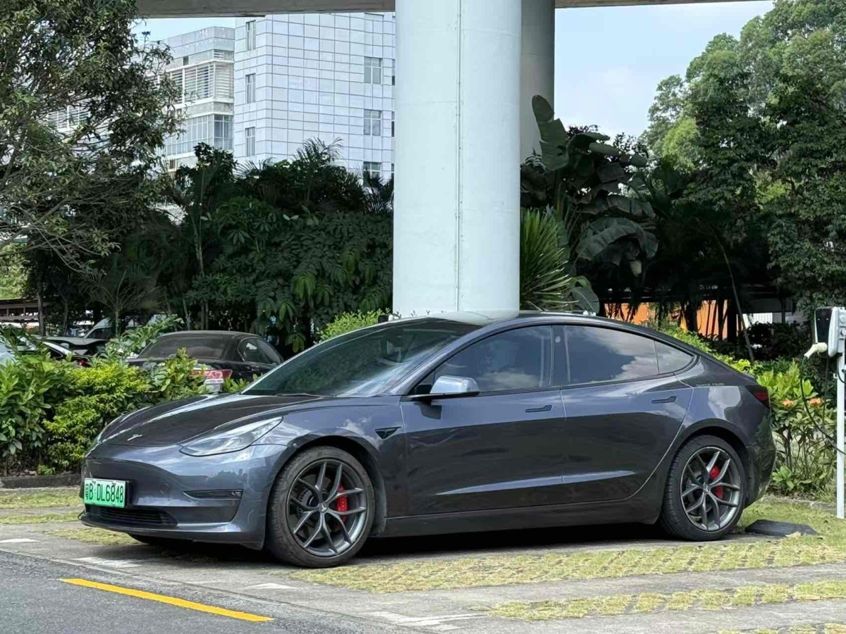 特斯拉 Model 3  2019款 Performance高性能全輪驅(qū)動版圖片