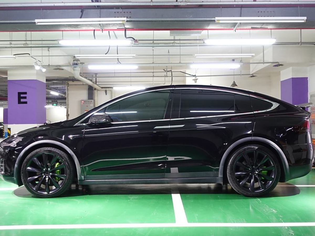 特斯拉 Model X  2019款 長續(xù)航版圖片