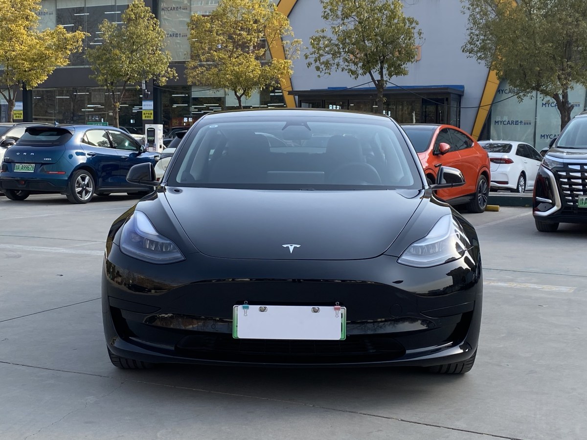 特斯拉 Model 3  2019款 標(biāo)準(zhǔn)續(xù)航后驅(qū)升級(jí)版圖片