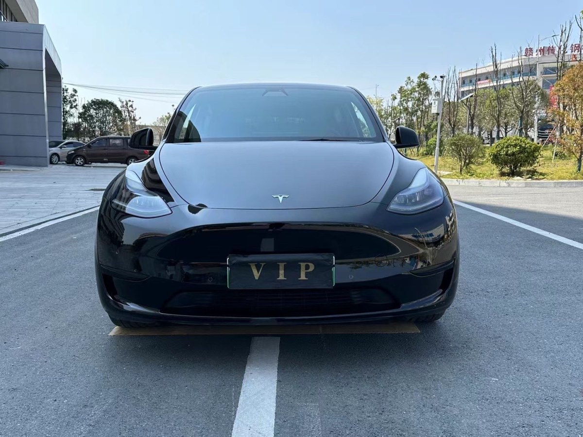 特斯拉 Model 3  2020款 改款 長續(xù)航后輪驅動版圖片