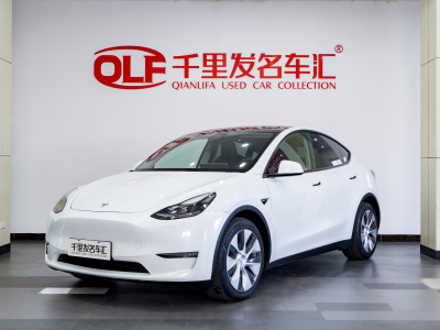 2021年3月 特斯拉 Model Y 長續(xù)航煥新版 雙電機(jī)全輪驅(qū)動圖片