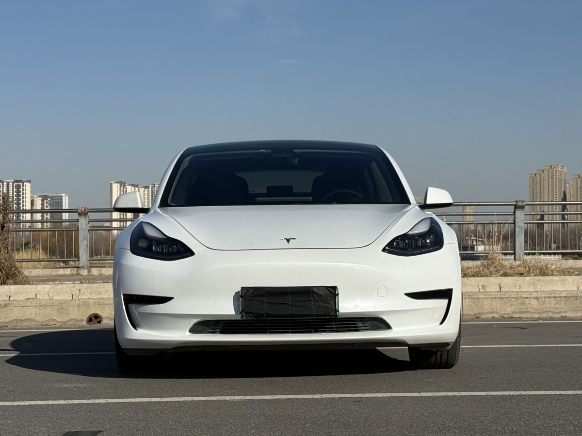 特斯拉 Model 3  2019款 標(biāo)準(zhǔn)續(xù)航后驅(qū)升級版圖片