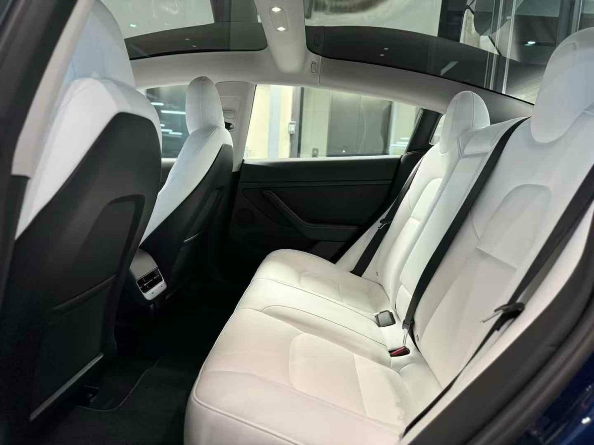 2023年5月特斯拉 Model S  2023款 三電機(jī)全輪驅(qū)動(dòng) Plaid版