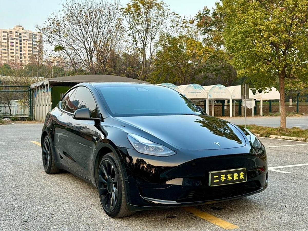 特斯拉 Model 3  2022款 后輪驅(qū)動版圖片