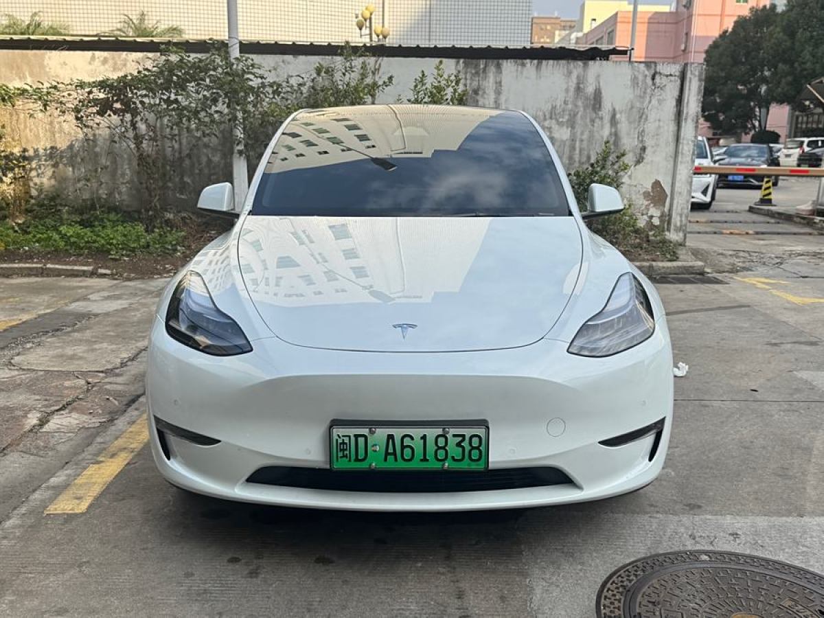 特斯拉 Model 3  2021款 改款 Performance高性能全輪驅(qū)動版圖片