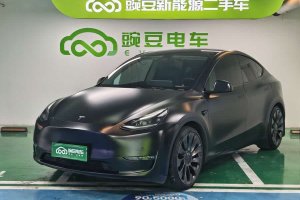Model Y 特斯拉 Performance高性能全輪驅(qū)動(dòng)版
