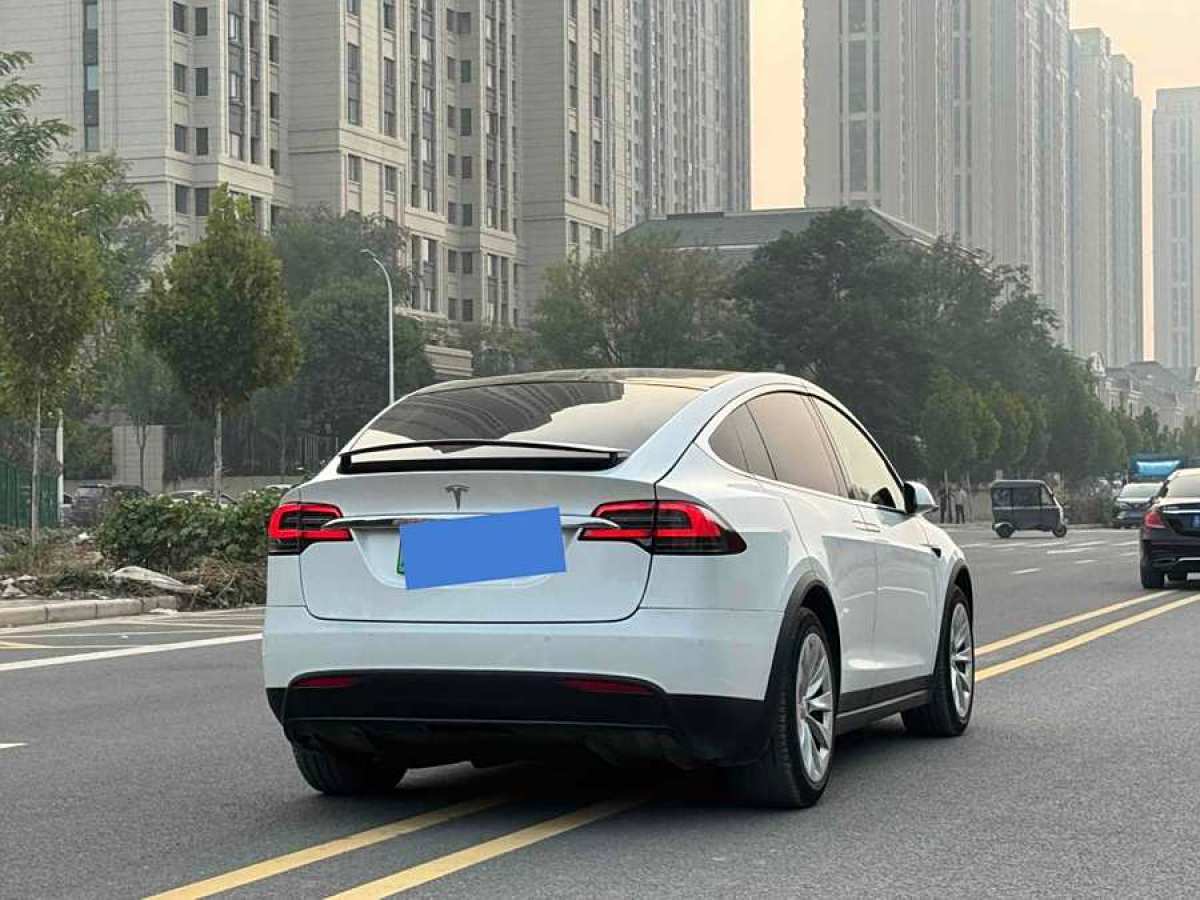 2019年7月特斯拉 Model X  2016款 Model X P100D Performance高性能版