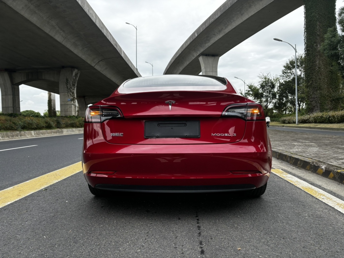 2020年10月特斯拉 Model 3  2019款 長續(xù)航后驅(qū)版