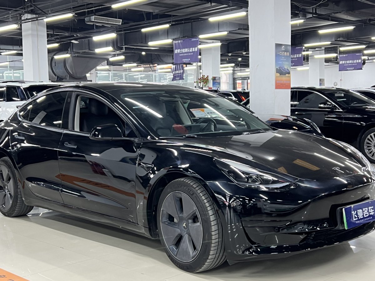 特斯拉 Model 3  2021款 標(biāo)準(zhǔn)續(xù)航后驅(qū)升級版 3D6圖片