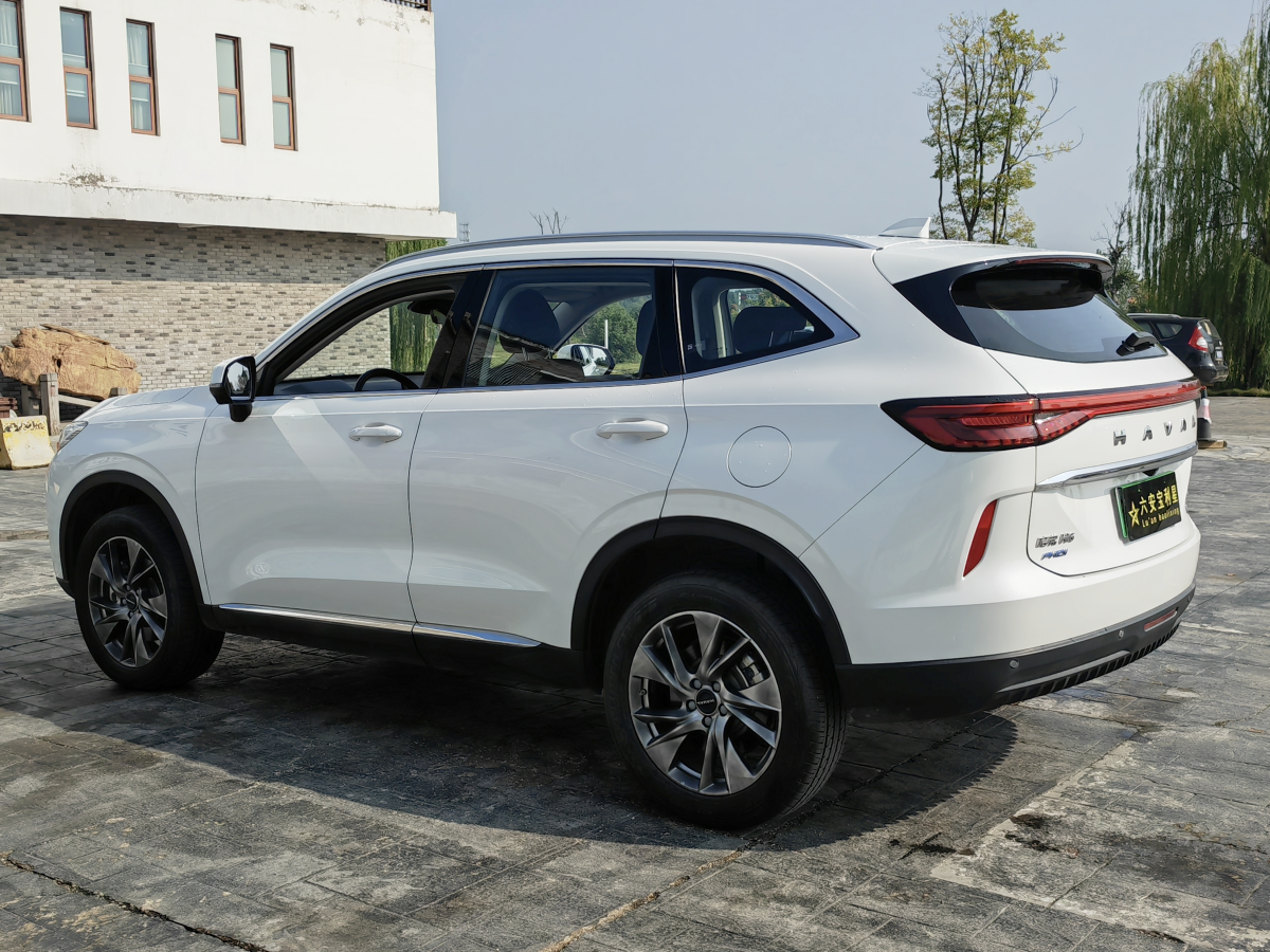 哈弗 哈弗H6新能源  2023款 DHT-PHEV 110KM 悅行版圖片