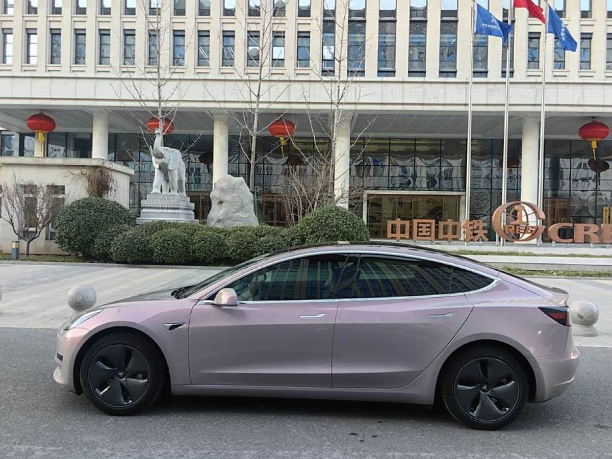 特斯拉 Model 3  2019款 標(biāo)準(zhǔn)續(xù)航后驅(qū)升級(jí)版圖片