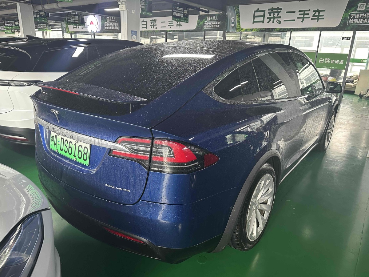 特斯拉 Model X  2020款 長續(xù)航升級版圖片