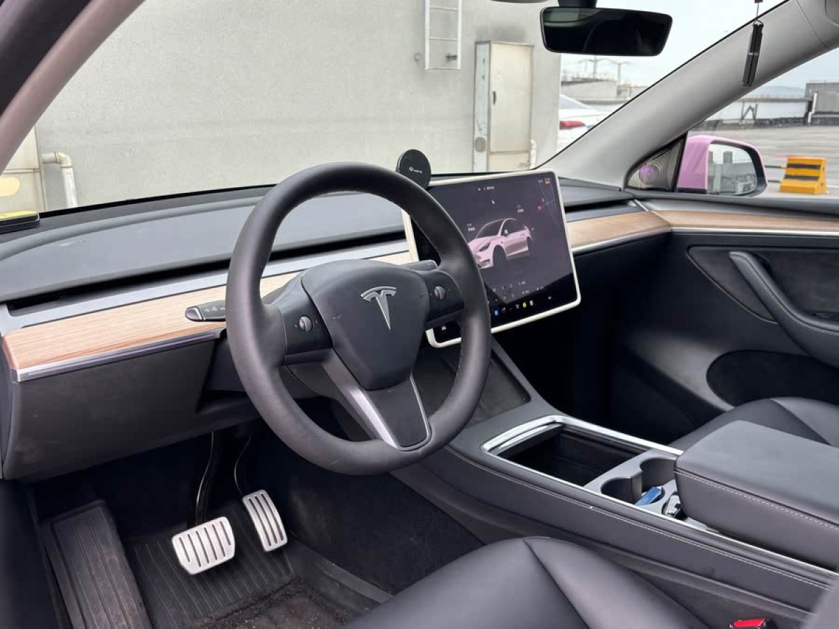 特斯拉 Model Y  2021款 Performance高性能全輪驅(qū)動(dòng)版圖片