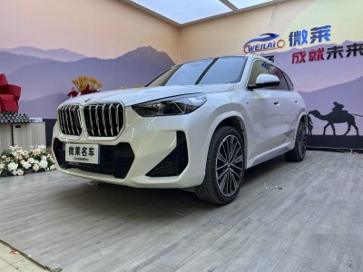 2024年9月 寶馬 寶馬X1 xDrive25Li X設(shè)計(jì)套裝圖片