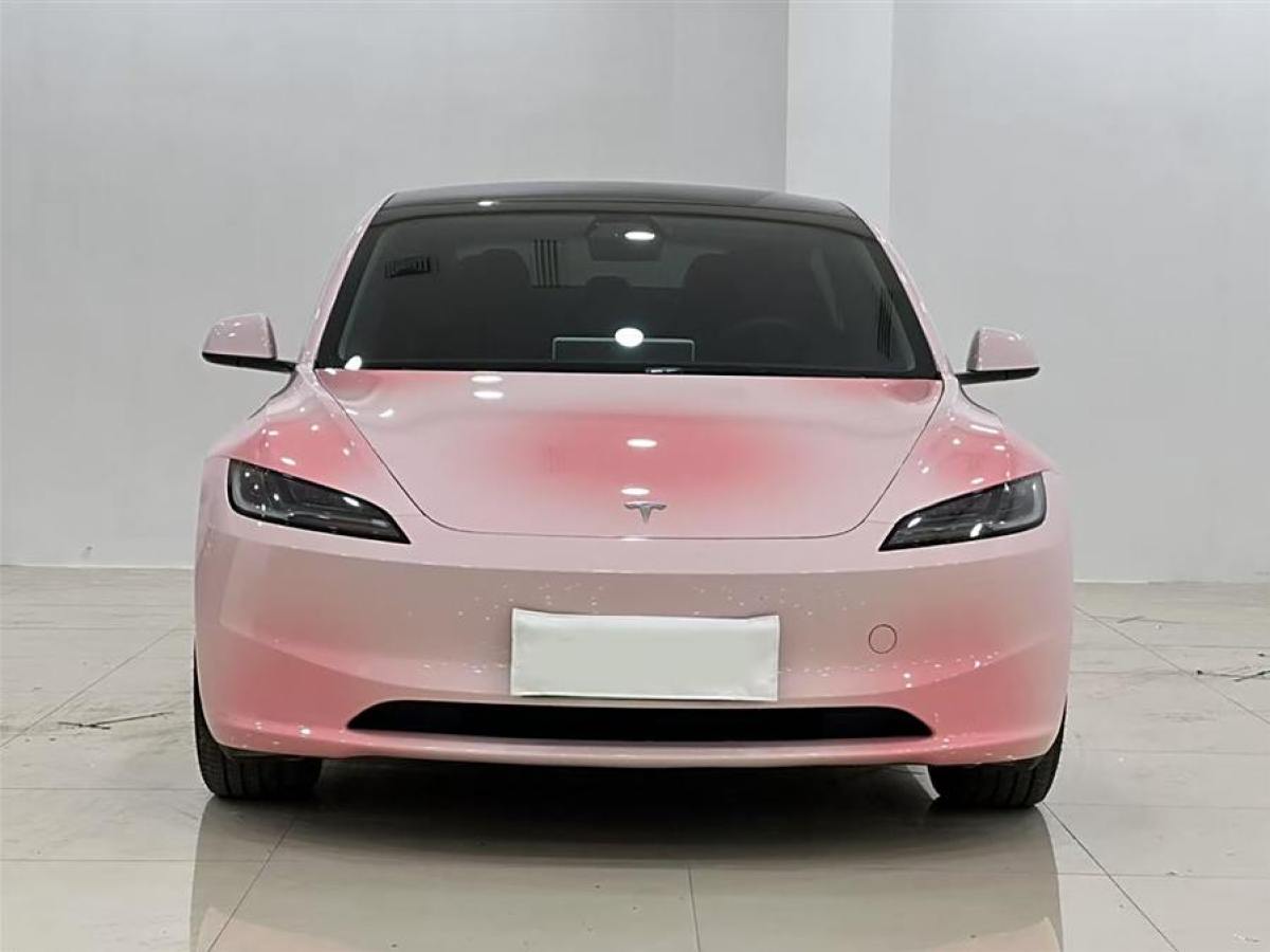 特斯拉 Model Y  2023款 長續(xù)航全輪驅(qū)動版圖片