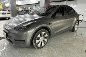 Model Y 特斯拉 后轮驱动版