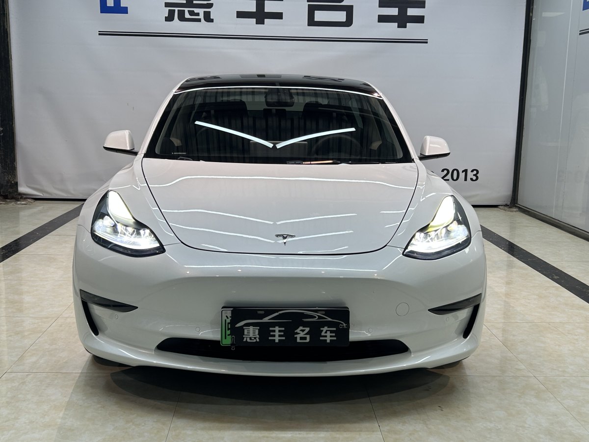 特斯拉 Model 3  2021款 Performance高性能全輪驅(qū)動(dòng)版 3D6圖片