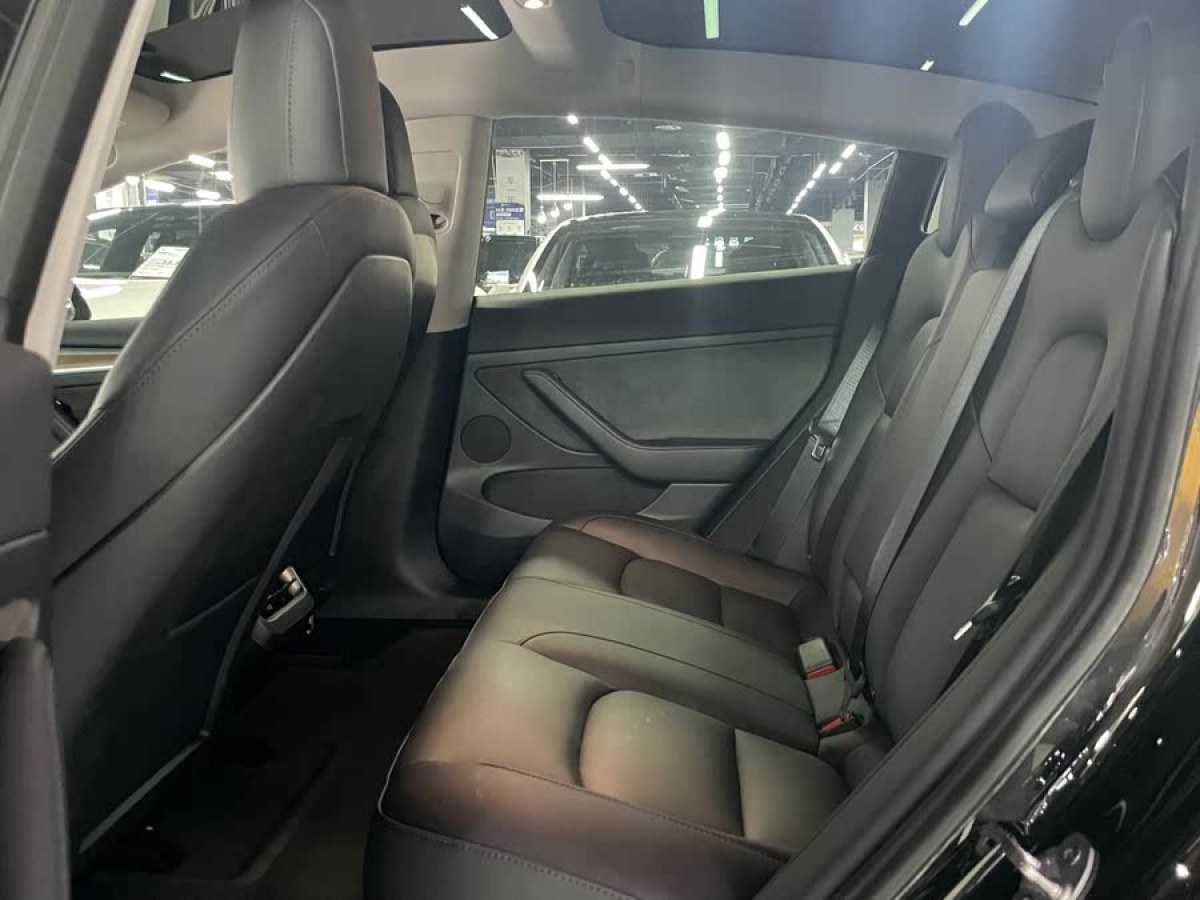 特斯拉 Model 3  2021款 標(biāo)準(zhǔn)續(xù)航后驅(qū)升級(jí)版 3D6圖片