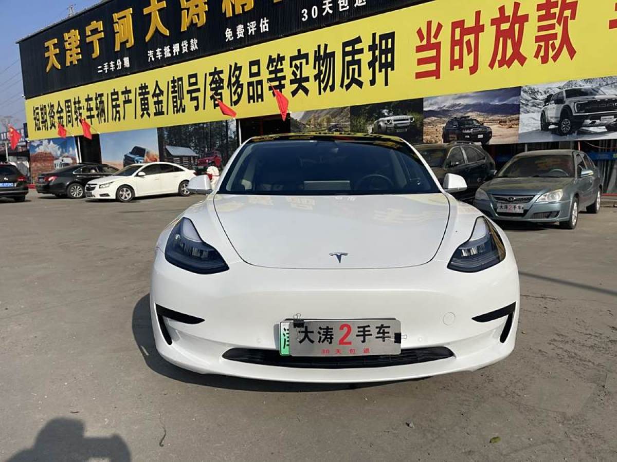 特斯拉 Model 3  2019款 標(biāo)準(zhǔn)續(xù)航后驅(qū)升級(jí)版圖片