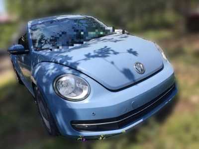 2014年10月 大眾 甲殼蟲(進口) 1.4TSI 時尚型圖片