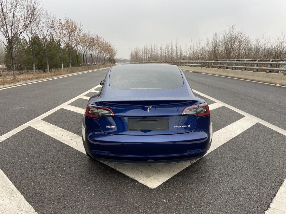 2021年01月特斯拉 Model 3  2019款 標(biāo)準(zhǔn)續(xù)航后驅(qū)升級(jí)版