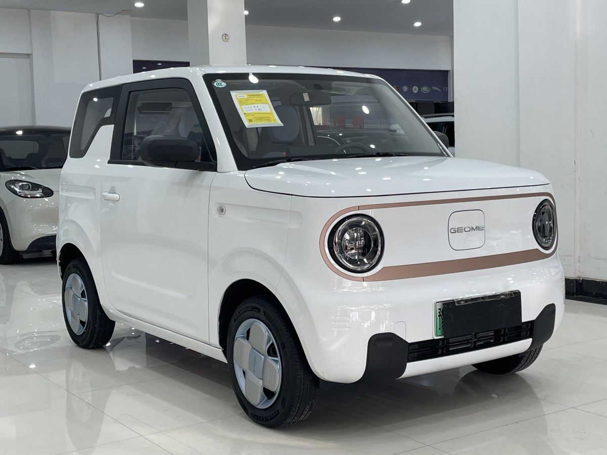 吉利 熊猫mini  2023款 200km 耐力熊图片