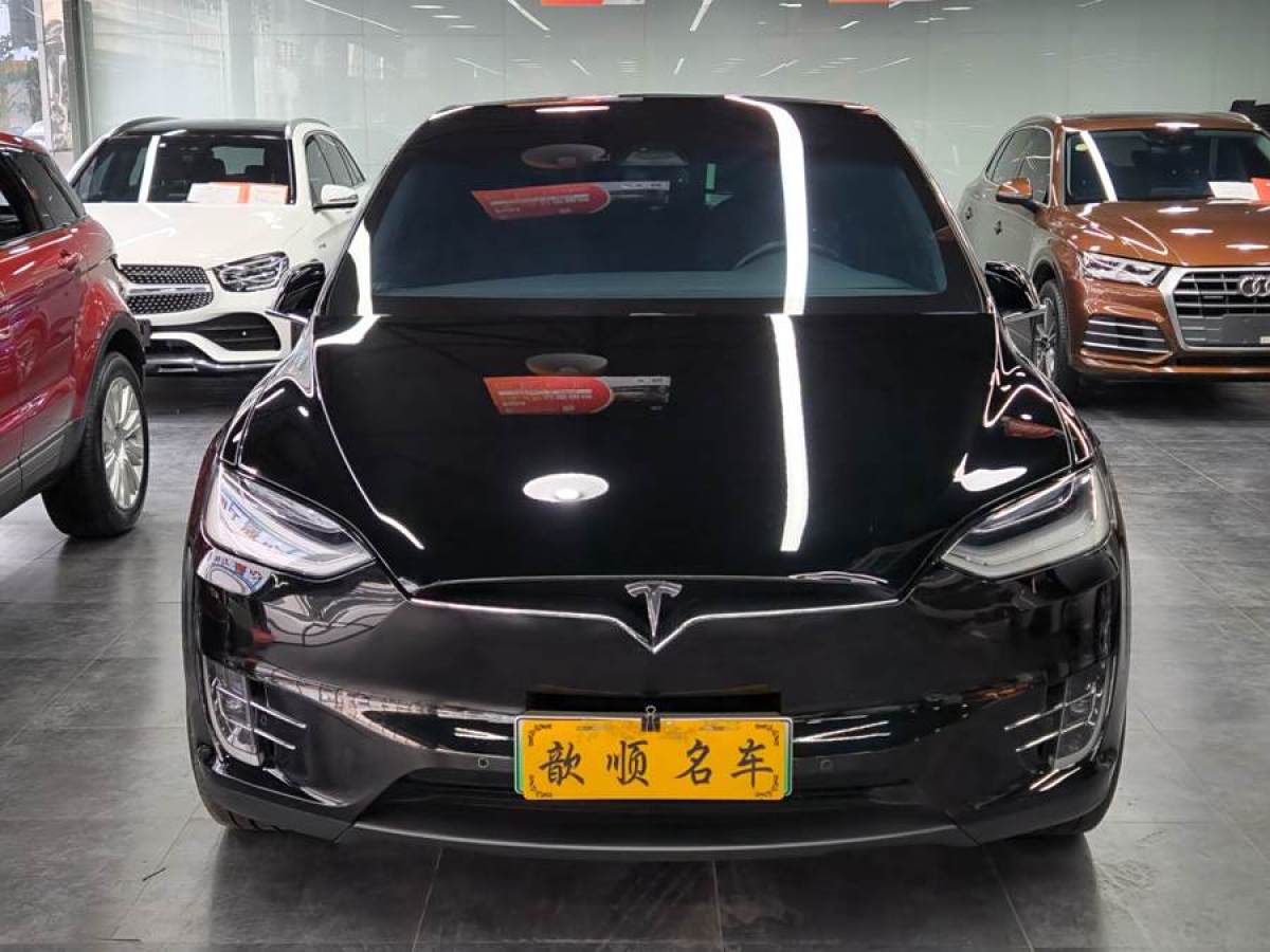 特斯拉 Model X  2019款 長續(xù)航版圖片