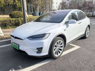 2017年6月 特斯拉 Model X Model X 75D圖片