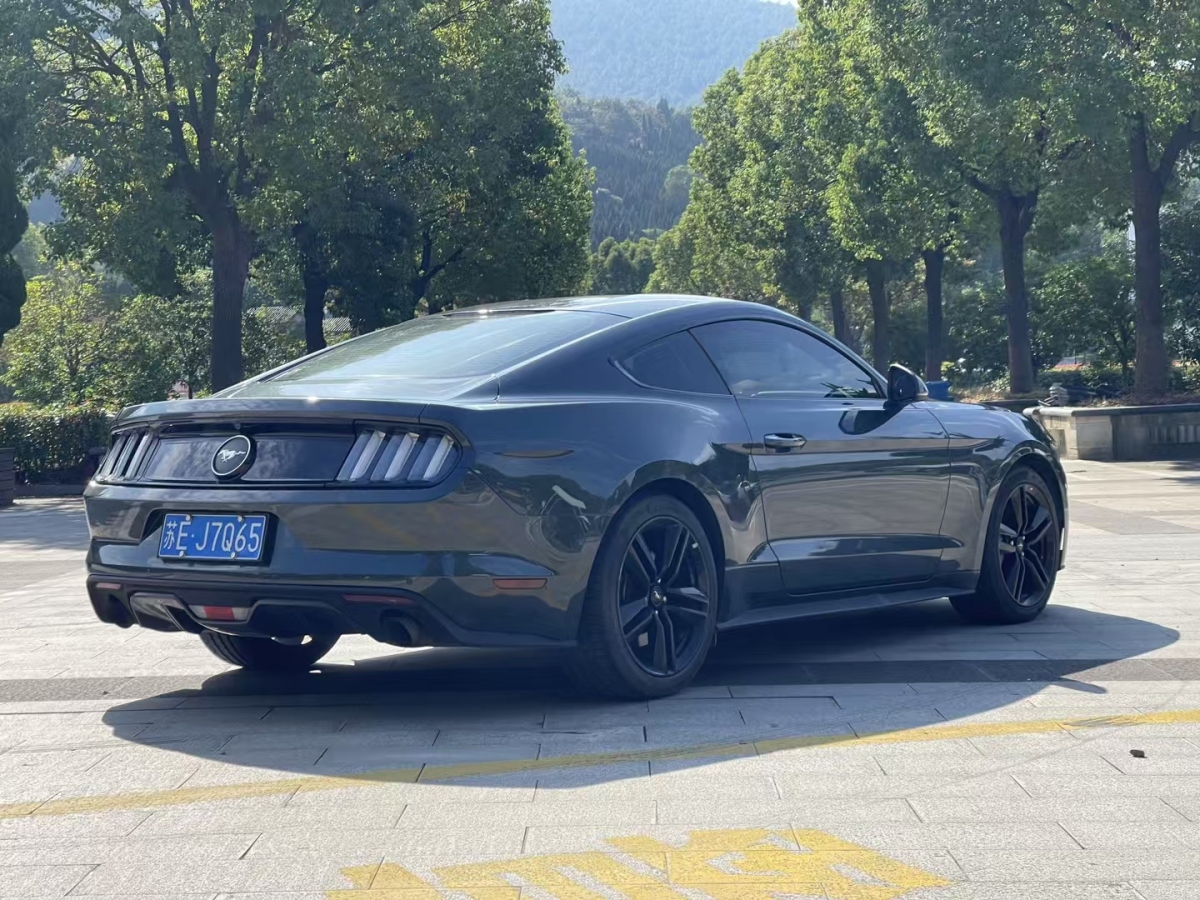 福特 Mustang  2015款 2.3T 性能版圖片