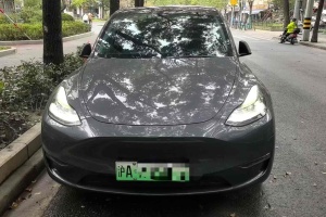 Model 3 特斯拉 长续航全轮驱动版 3D7