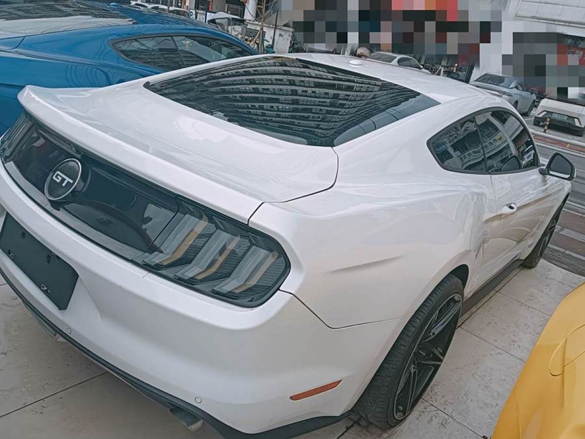 福特 Mustang  2015款 2.3T 性能版圖片