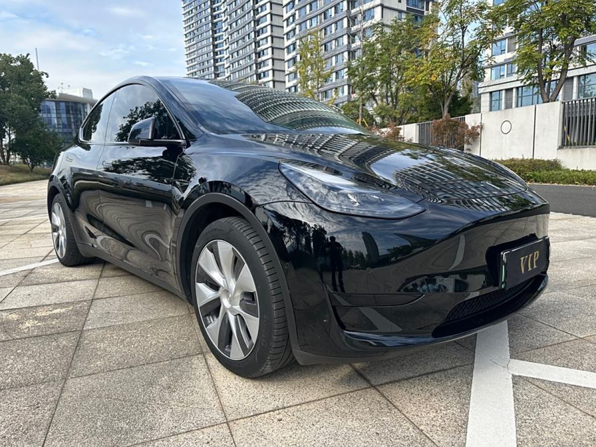 特斯拉 Model 3  2020款 改款 長續(xù)航后輪驅(qū)動(dòng)版圖片