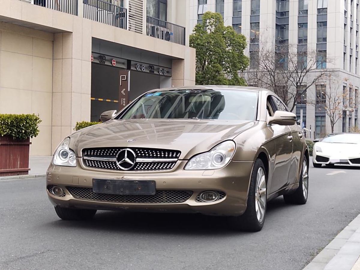 奔馳 奔馳CLS級(jí)  2009款 CLS 300圖片