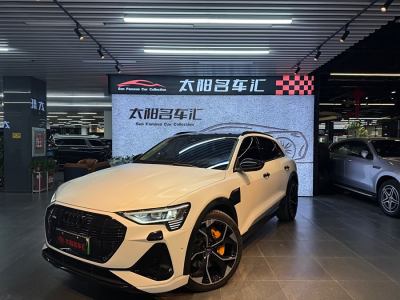 2021年3月 奧迪 奧迪e-tron 50 quattro 尊享型圖片