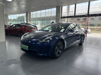 2020年4月 特斯拉 Model 3 标准续航后驱升级版图片