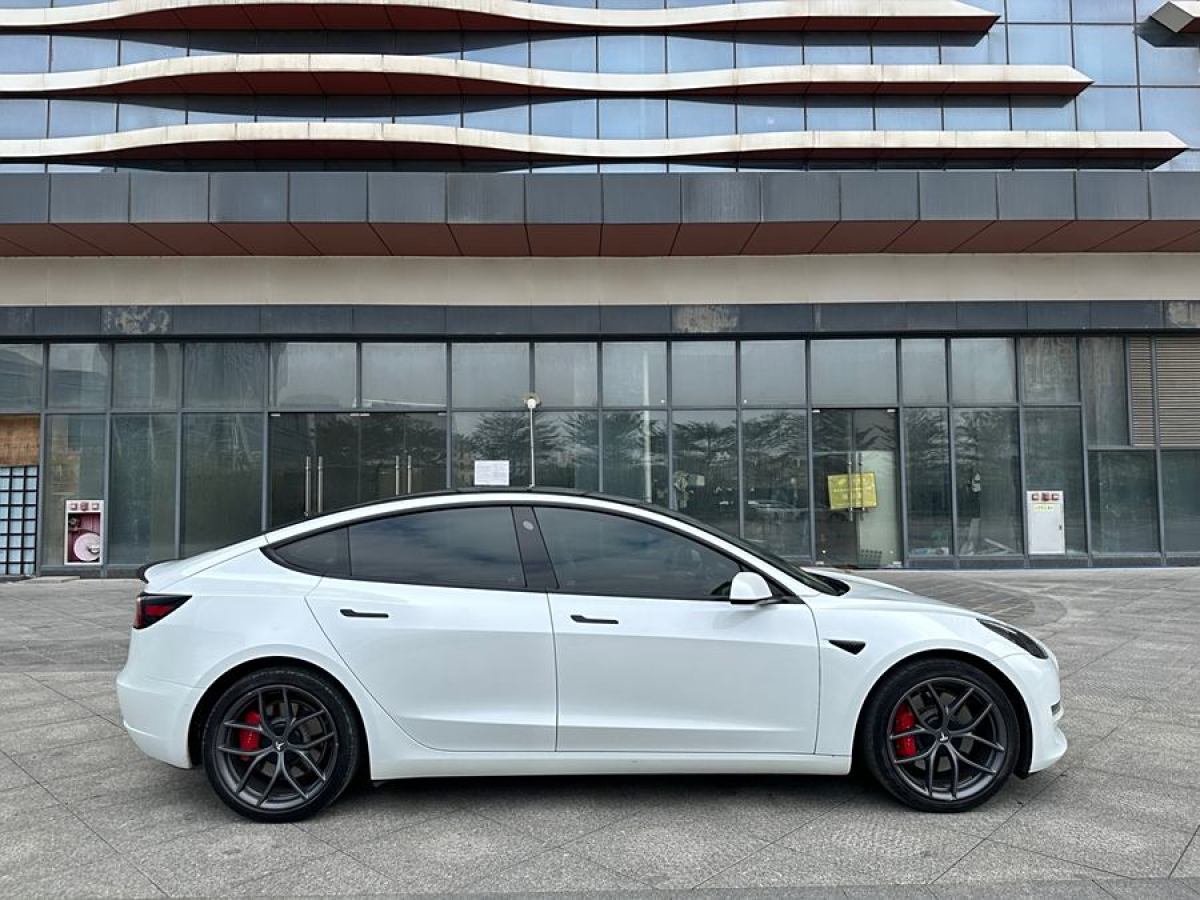 特斯拉 Model Y  2021款 Performance高性能全輪驅(qū)動版圖片