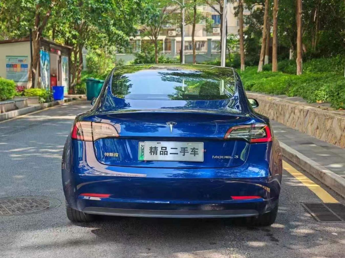 特斯拉 Model X  2020款 Performance 高性能版圖片
