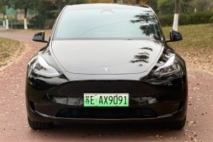 Model 3 特斯拉 改款 长续航后轮驱动版