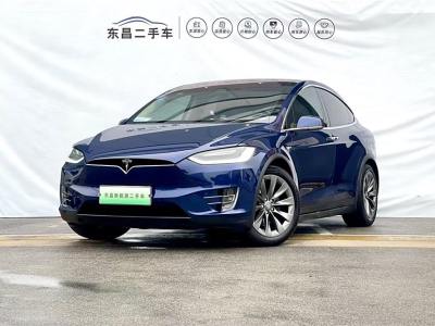 2019年2月 特斯拉 Model X Model X 100D 長(zhǎng)續(xù)航版圖片