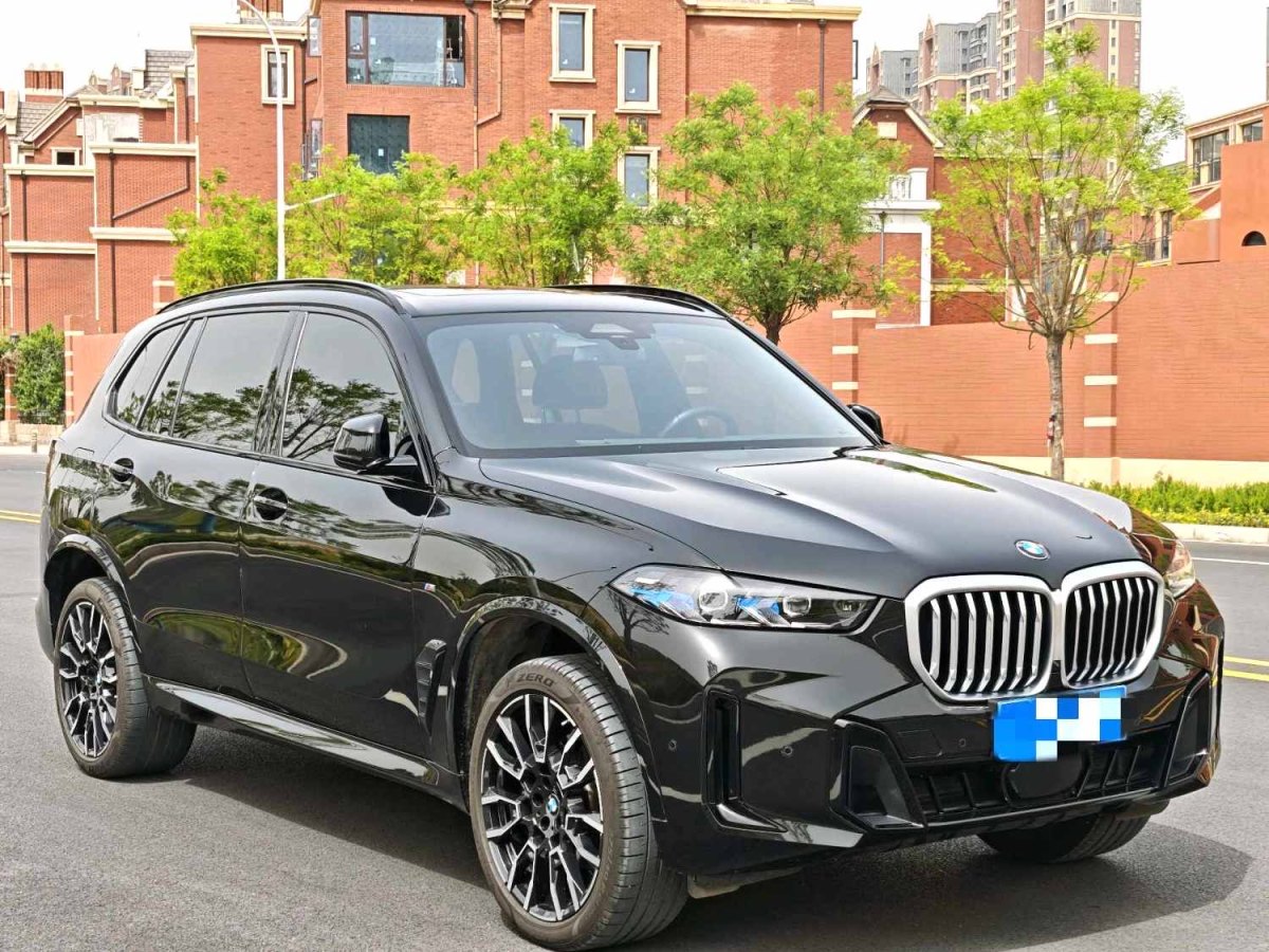 寶馬 寶馬X5  2023款 xDrive 40Li M運(yùn)動(dòng)曜夜套裝圖片