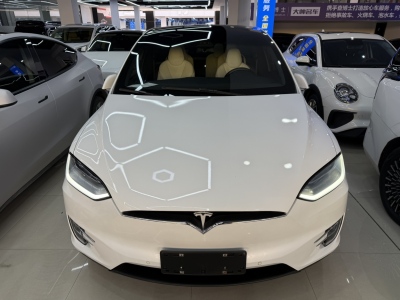 2019年1月 特斯拉 Model X 長續(xù)航版圖片