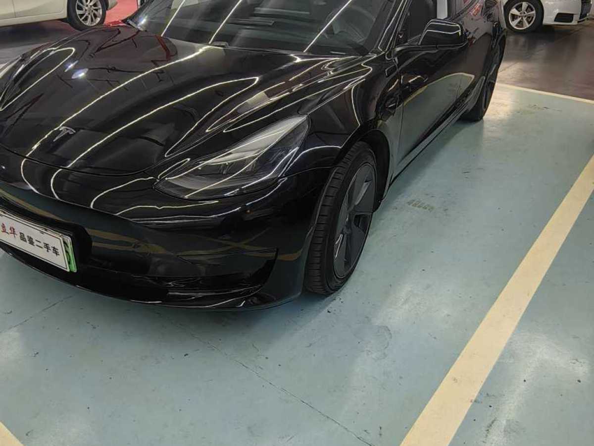 特斯拉 Model 3  2019款 標(biāo)準(zhǔn)續(xù)航后驅(qū)升級(jí)版圖片