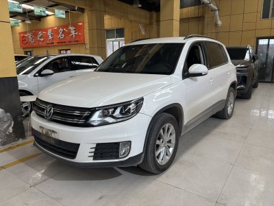 2019年5月 大眾 途觀 300TSI 自動兩驅(qū)絲綢之路風尚版圖片