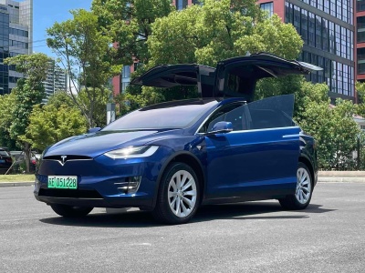 2019年11月 特斯拉 Model X 長(zhǎng)續(xù)航版圖片