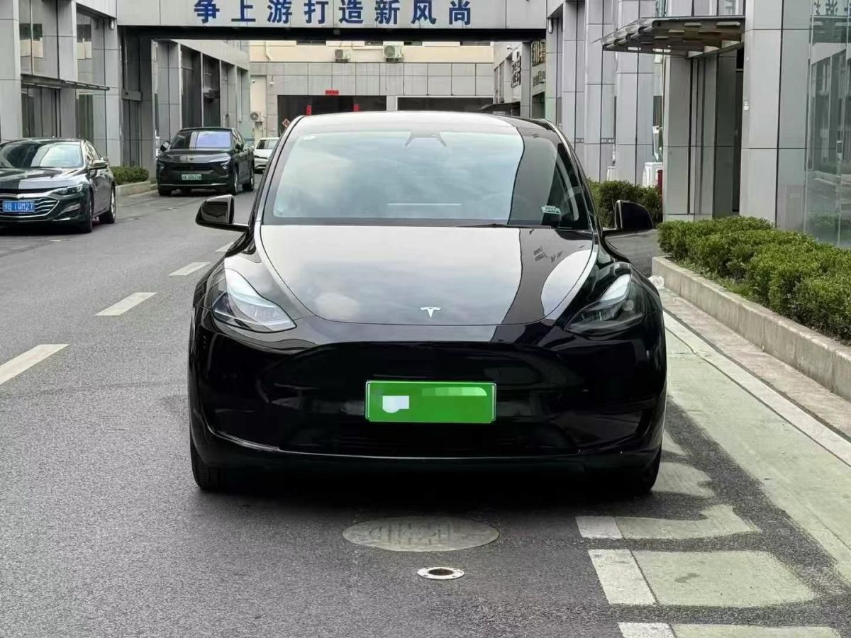 2022年1月特斯拉 Model 3  2022款 Performance高性能全輪驅(qū)動(dòng)版