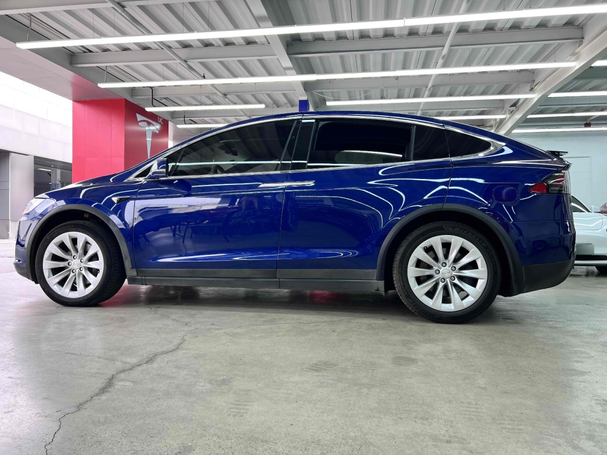 特斯拉 Model X  2019款 長續(xù)航版圖片