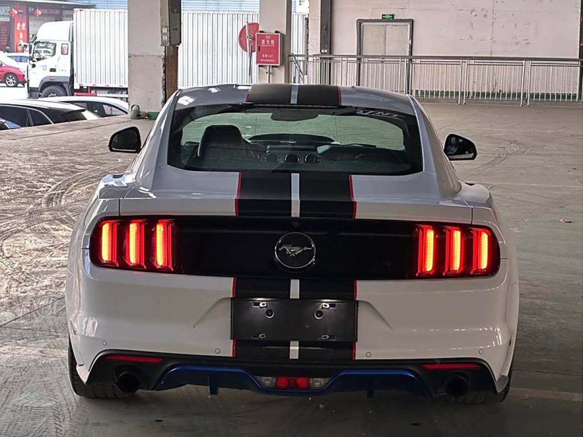 福特 Mustang  2017款 2.3T 性能版圖片