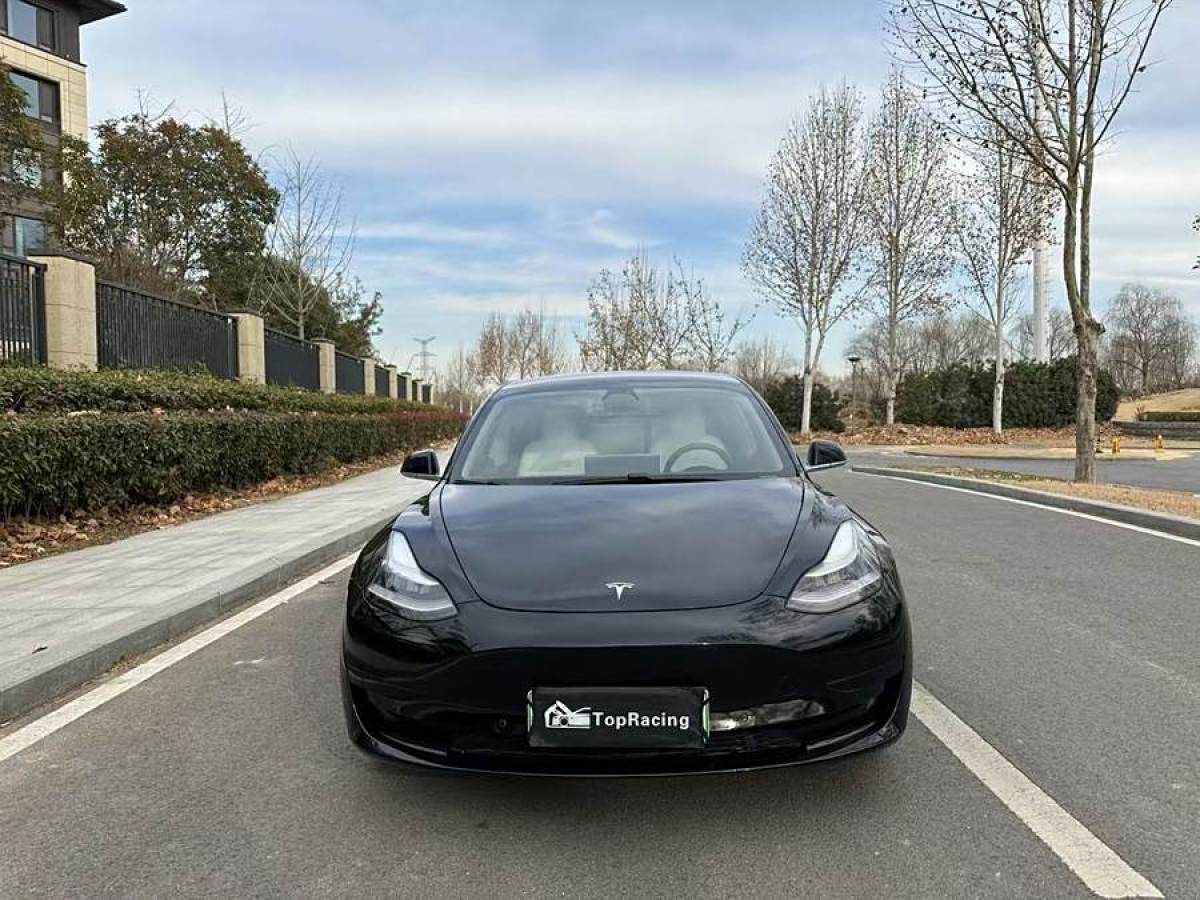 特斯拉 Model 3  2019款 長續(xù)航后驅(qū)版圖片